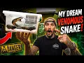 I FINALLY Got My DREAM Venomous Snake