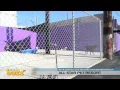 All Star Pet Resort Pet Boarding and Grooming Torrance