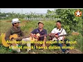 Lagu Burju do Inong Panggatti Mi (Cipt : Drs Jujung Panjaitan) RINGO AKUSTIK