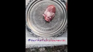 طلسم Spell Magic جادوگری Spellwork 989014386622 