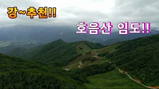 임도차박 낚시를 할수있고 승용차도 가능한 자전거 라이딩 코스 강추천// 노지차박 캠핑// 오지산골임도// 자동차여행!! 썸네일