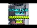 Download Lagu BURUNG PARKIT SI IMUT SUPER BERISIK