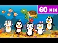Download Lagu Nursery Rhymes | Baby Shark | Skidamarink | Once I Caught a Fish Alive - Leigha Marina