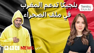الصحراء الغربية بلجيكا تدعم مقترح المغرب للحكم الذاتي  الصحراء الغربية بلجيكا تدعم مقترح المغرب للحكم الذاتي