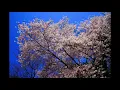Phillip Glass - Piano Concerto Tirol - Movement II
