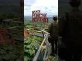 Download Lagu Kotabaru puncak meranti dikalimantan selatan