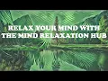 Why I love Mondo Loops🌿🌈  ~ Lofi beats to boost your mood instantly