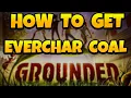 How to Get EverChar Coal Chunk in Grounded