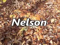 NELSON as Family Name Meaning and Origin