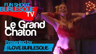 le grand chaton for dromedary burlesque presented by i love burlesque 