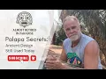 Download Lagu Why It's Called a Palapa: Traditional Building Secrets from Mexico.