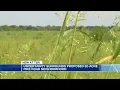Uncertainty surrounds proposed 62-acre Pike Road neighborhood