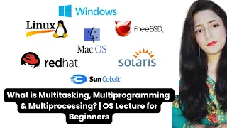 Multitasking vs Multiprogramming vs Multiprocessing OS Concepts Explained Simply