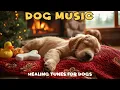 Download Lagu 12 Hours of Relaxing Music for Dogs 🐶💖 Deep Sleep \u0026 Anti-Separation Anxiety Relief 🎶 Pet Music
