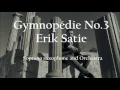Erik Satie: Gymnopédie No.3 - David Hernando Vitores.