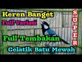 Download Lagu Masteran gelatik batu gacor full 3 jam tanpa iklan
