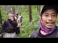 Download Lagu berburu tupay dan membebaskan anak anjing yg di culik oleh kera/monyet