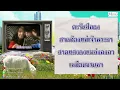 คอยนางที่อ่างทอง - ไชยา มิตรชัย (Official Master)