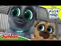 Playtime with Puppy Dog Pals Puppy Pool Party Puppy Dog Pals Disney Channel Africa