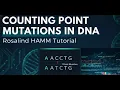 Counting Point Mutations in DNA with Python Rosalind HAMM Tutorial