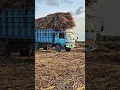 Download Lagu fuso truck #automobile #smartphone #trukviral #drivermuda #trukacehviral #sopirtruck #koldisel #basu