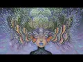 Download Lagu NUMA - Chrysalis (Meditation / Sound Healing / Yoga Music / Ambient Folktronica)