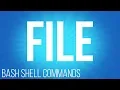 BASH Shell commands file commands for linux