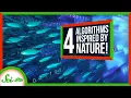 4 Algorithms We Borrowed from Nature