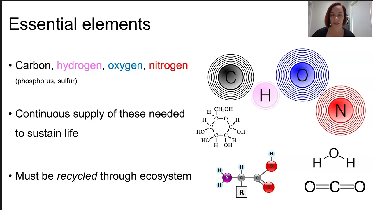 Matter transfer and transformation