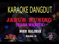 Download Lagu Karaoke Janur Kuning Nada Wanita - Noer Halimah (Karaoke Dangdut Tanpa Vocal)