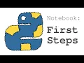 Variables in Python storing results in the memory the basics