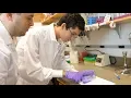 A Summer of Science with MSRP-Bio