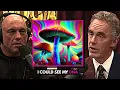 Download Lagu Jordan Peterson's Life Changing 7g Heroic Dose