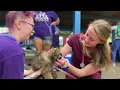 FACE Pop-up Clinic - May 12