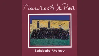 mohau o teng