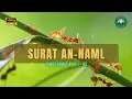 Surat An-Naml | سورة النمل في شيخ حني رفاعي | Semut | Doa Nabi Sulaiman Menundukkan Hewan dan Jin