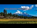 When Grizzlies Walked Upright