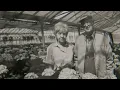 Couple donates farm to Chippewa Valley School District