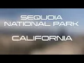SEQUOIA NATIONAL PARK MONTECITO LODGE