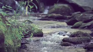 سورة الواقعة بصوت القارئ اسلام صبحي Surah Al Waqiah Islam Sobhi  سورة الواقعة بصوت القارئ اسلام صبحي Surah Al Waqiah Islam Sobhi