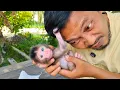 Download Lagu Oh my god 😱🥵 baby monkey Millie is pulling and hanging on my hair