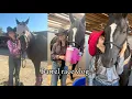 Come with me and Shaq to a weekend barrel race