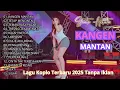 Download Lagu Shinta Arsinta ~ Kangen Mantan , Lagu Koplo Terbaru 2025 TANPA IKLAN