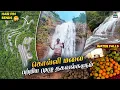 Download Lagu கொல்லிமலையில் இவ்ளோ இடங்கள் இருக்கிறதா | KOLLI HILLS | places to visit in kolli hills | kollimalai