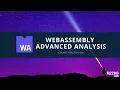 WebAssembly Advanced Modules Analysis - Training description Day 2