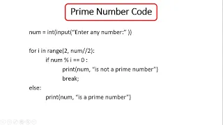 Prime number Code - Python for Beginners Class 12 Class 11