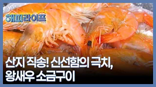 산지 직송! 신선함의 극치, 왕새우 소금구이 MBN 260907 방송