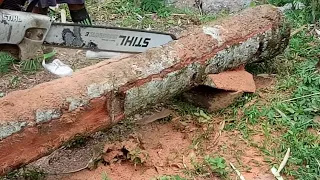 gergaji senso graji mesin 