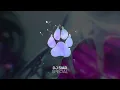DJ Siar - Special