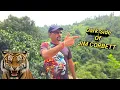 Lagu Innocent Animals की हत्या? Jim Corbett की shocking कहानी! Human–Animal Conflict की असली वजह !Podcast